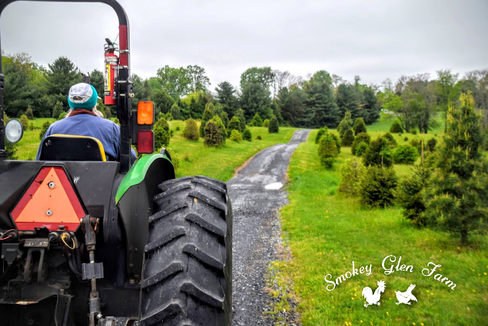 Hayride Tractor Pull