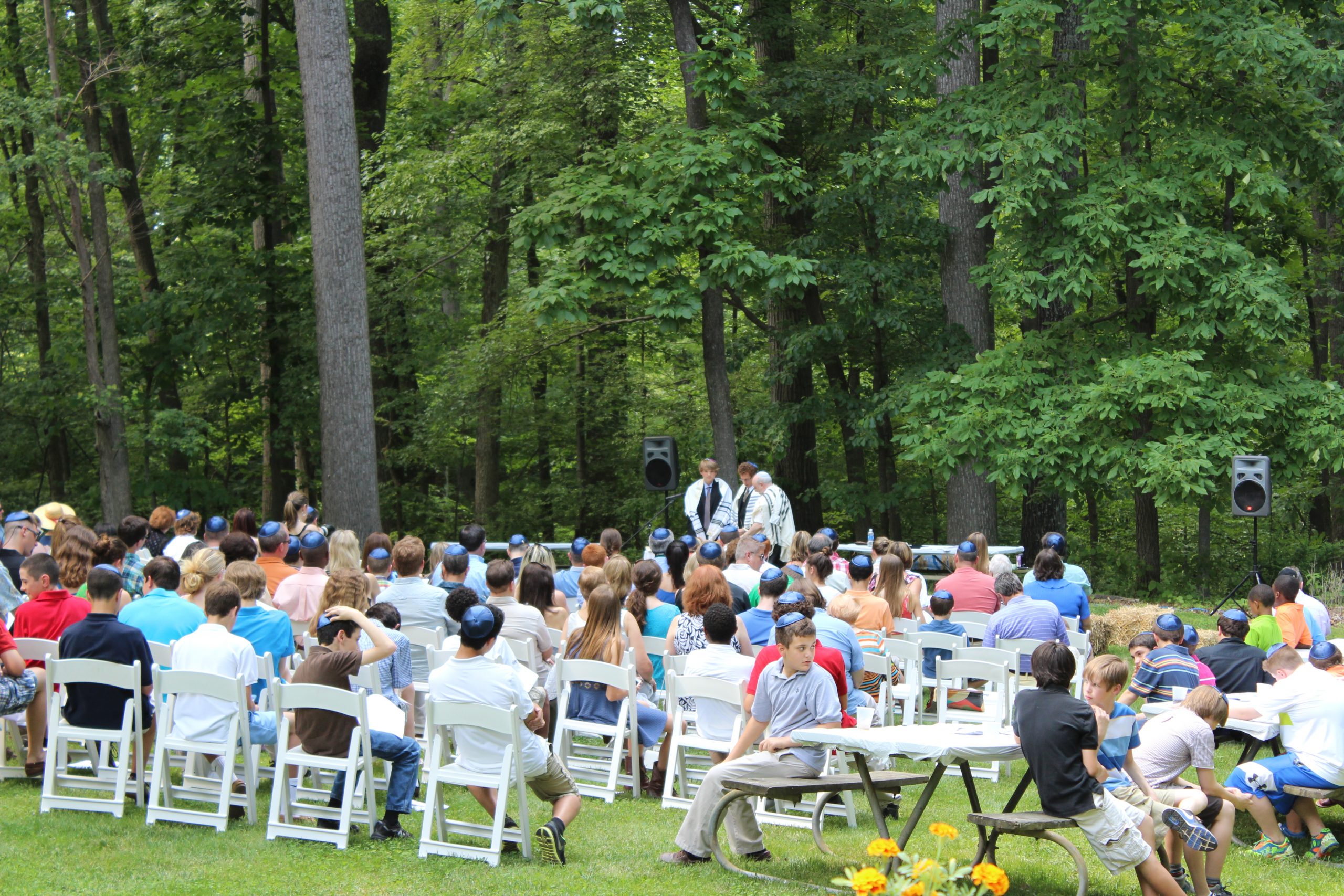 Grove Bar Mitzvah