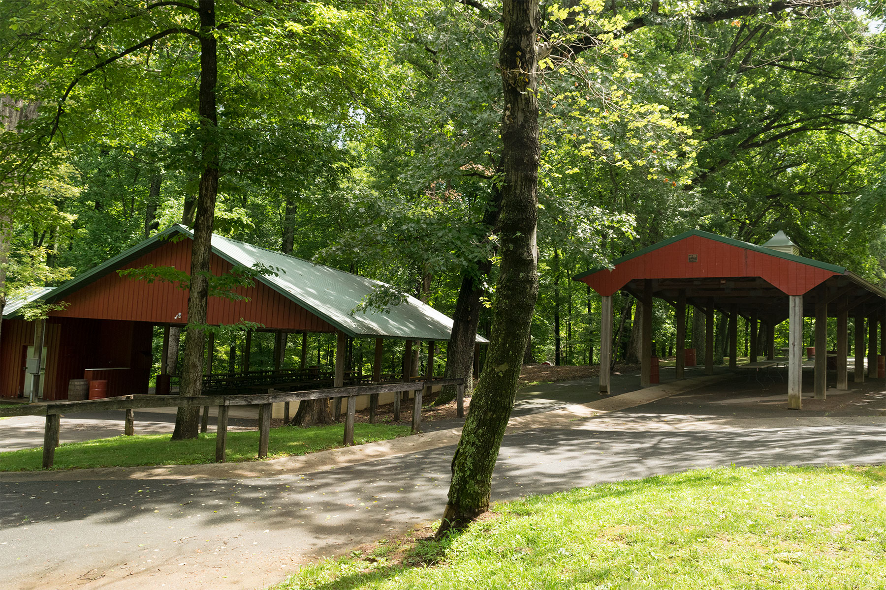 grove